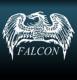 Falcon Inc.